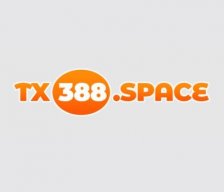 tx388space