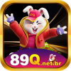 89qnetbr