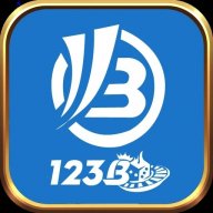 123bllc1