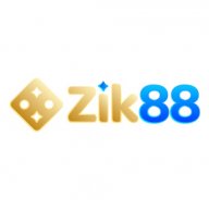 ZIK881